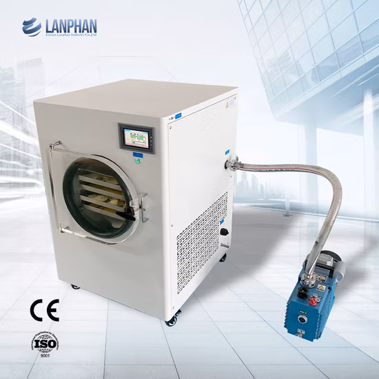 Secadora secadora al vacío por congelación de gran capacidad